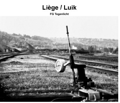 Liège / Luik book cover