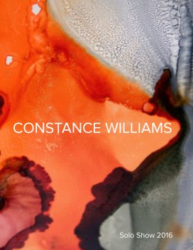 Constance Williams Conceal & Reveal Solo Show 2016 book cover