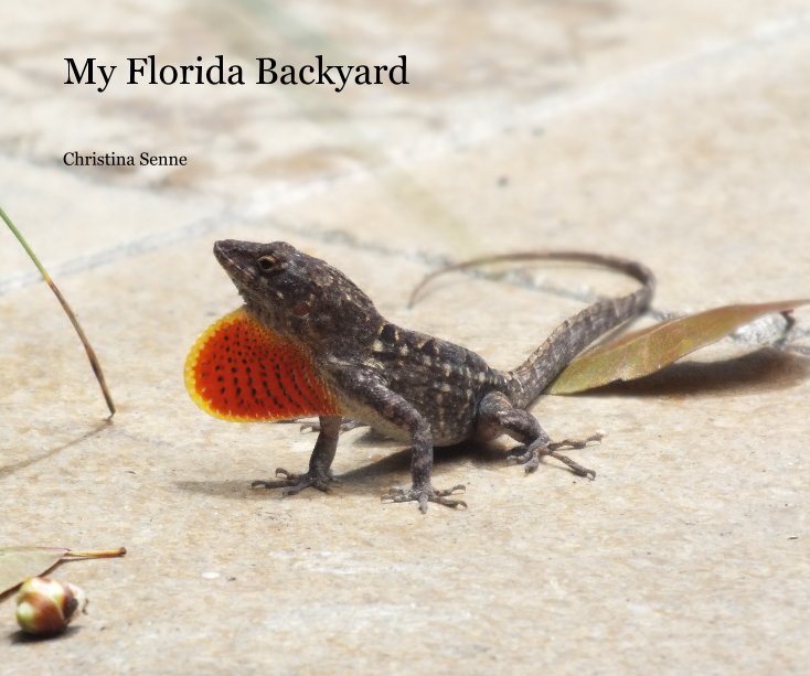 View My Florida Backyard by Christina Senne