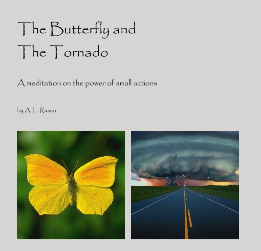 View The Butterfly and The Tornado by A. L. Russo