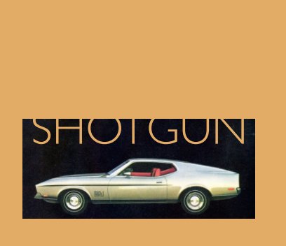 SHOTGUN book cover