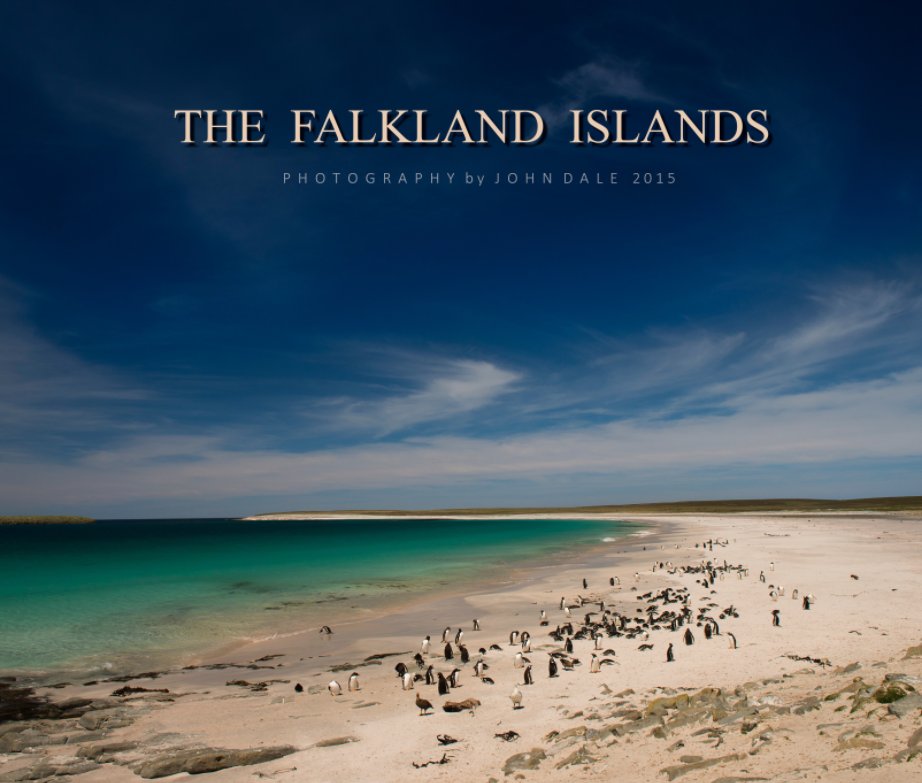 Ver THE FALKLAND ISLANDS por John L Dale