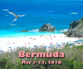 Bermuda 2016 book cover