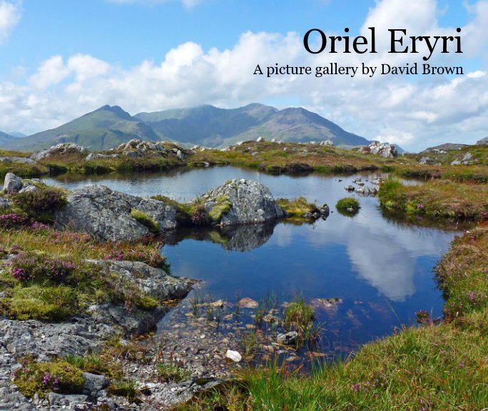 View Oriel Eryri by David Brown