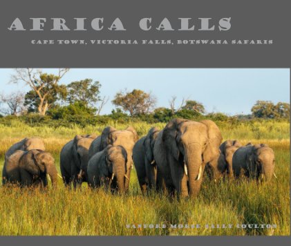AFRICA CALLS book cover