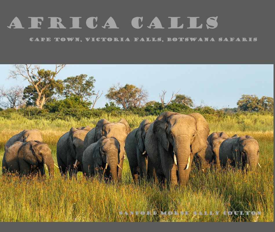 Visualizza AFRICA CALLS di SANFORD MORSE/SALLY COULTON