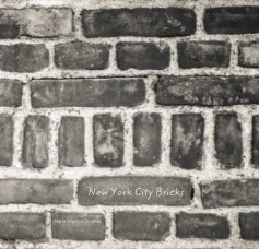 New York City Bricks book cover