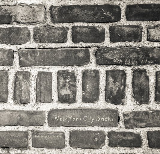 View New York City Bricks by María Angélica Jiménez
