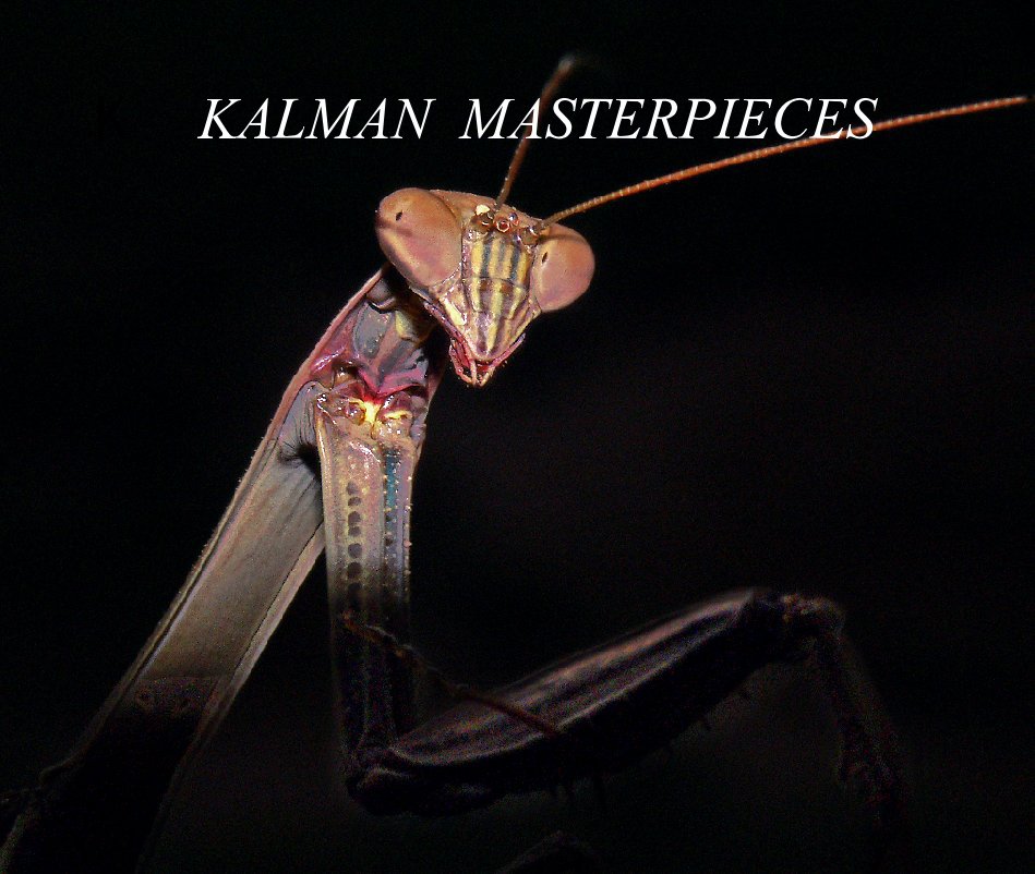 View Kalman Masterpieces by Dr. Robert Kalman