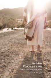 In His Footsteps book cover