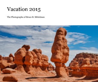 Vacation 2015 book cover
