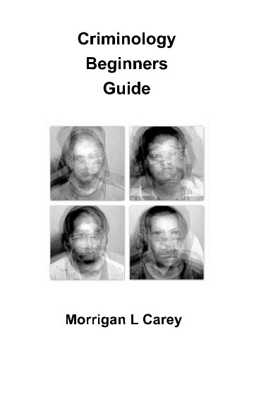 Criminology Beginners Guide nach Morrigan L  Carey anzeigen