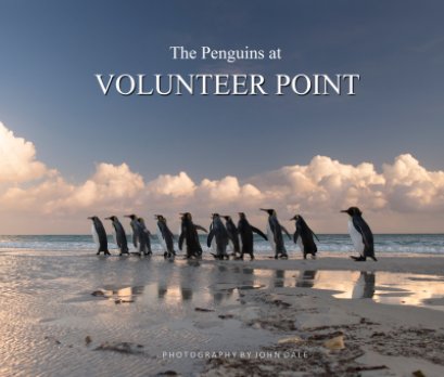 The Penguins at Volunteer Point book cover