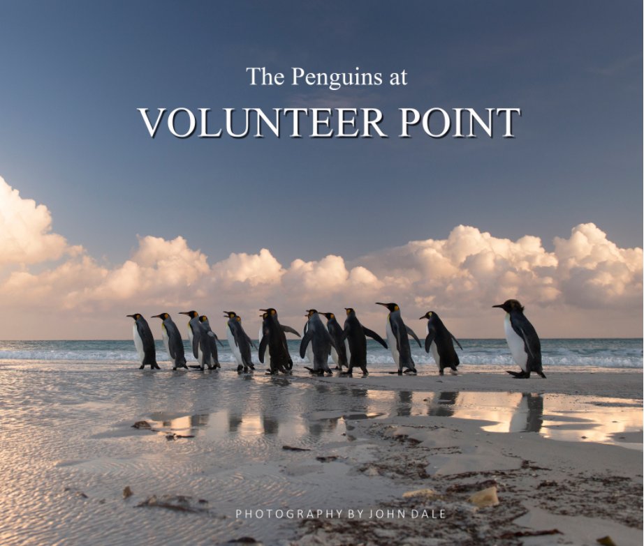 Ver The Penguins at Volunteer Point por John L Dale