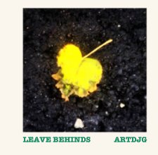 LEAVE BEHINDS book cover