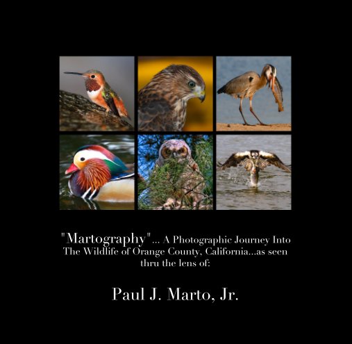 View "Martography"... A Photographic Journey Into The Wildlife of Orange County, California...as seen thru the lens of: by Paul J. Marto, Jr.