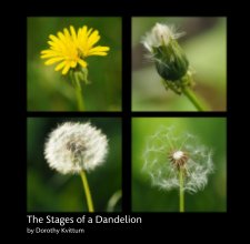 The Stages of a Dandelion book cover