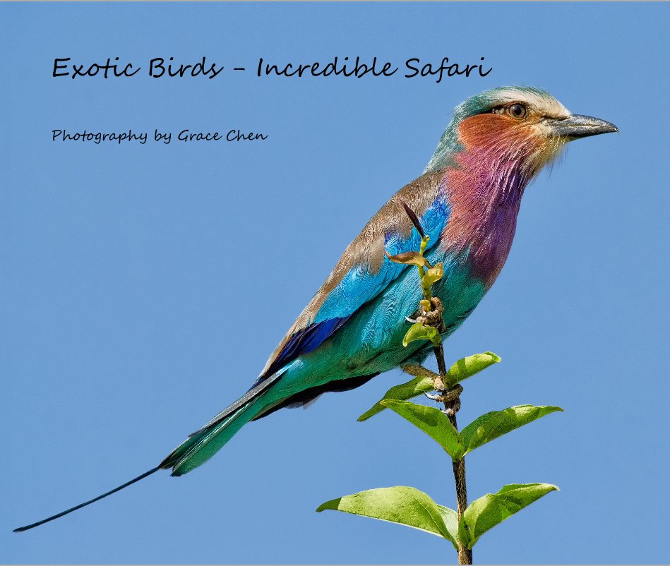 Bekijk Exotic Birds - Incredible Safari op Photography by Grace Chen