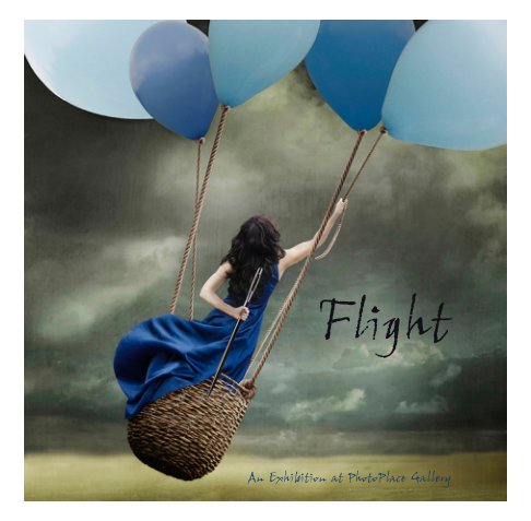 View Flight, Softcover by PhotoPlace Gallery