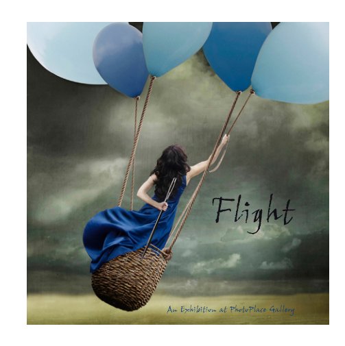 View Flight, Hardcover Imagewrap by PhotoPlace Gallery