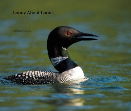 Loony About Loons book cover