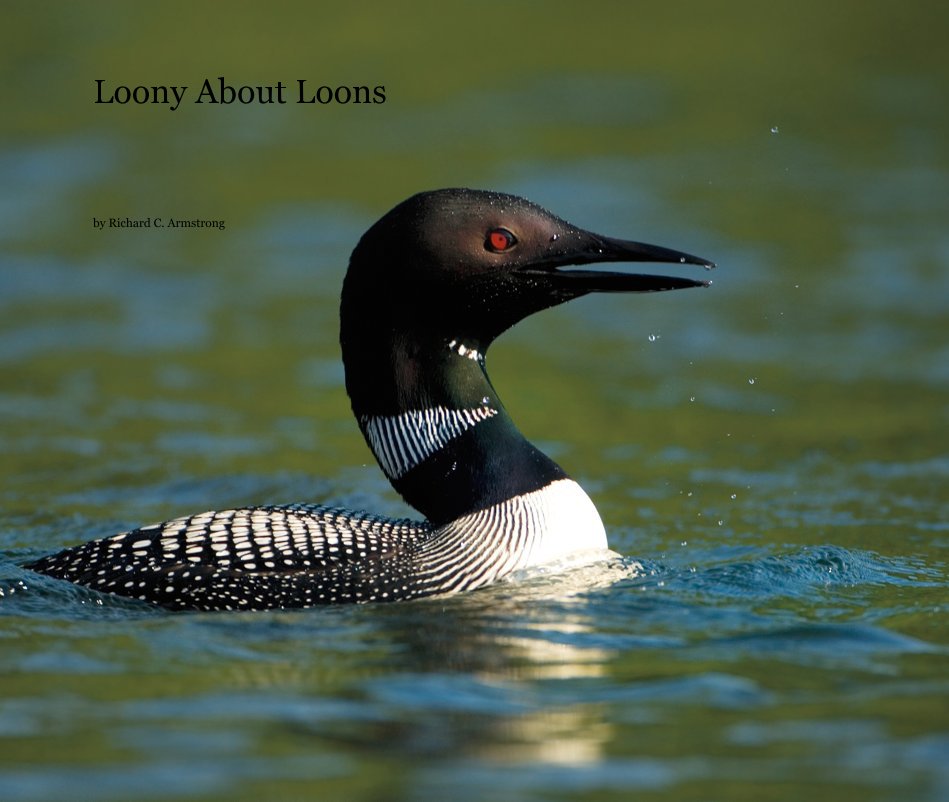 Ver Loony About Loons por Richard C. Armstrong