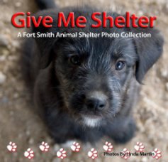 Give Me Shelter book cover