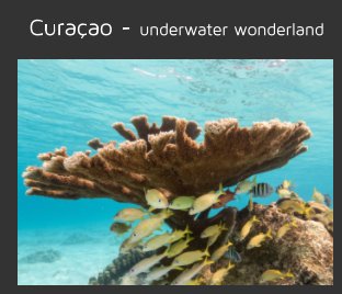 Curaçao - underwater wonderland book cover