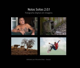 Notas Soltas 2.0.1 book cover