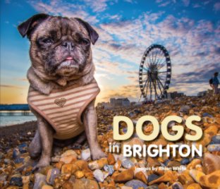 Dogs in Brighton book cover