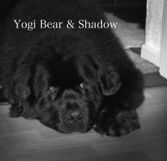 Yogi Bear & Shadow book cover