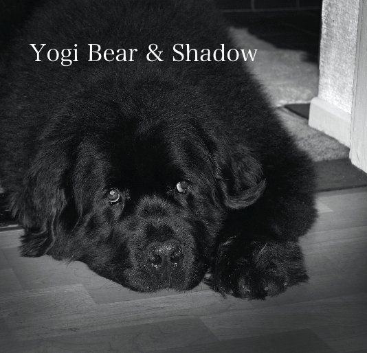 Ver Yogi Bear & Shadow por jungle