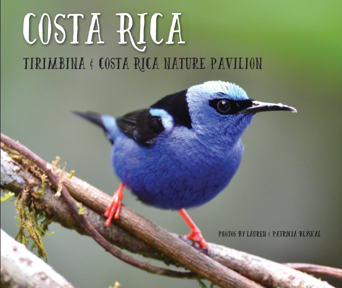Costa Rica 2015 Tirimbina & Nature Pavilion nach Lauren Blyskal anzeigen