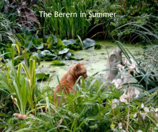 The Berern in Summer book cover