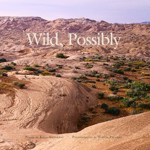 View Wild, Possibly by Woody Packard, Kath Anderson