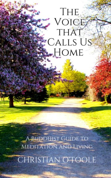 View The Voice that Calls Us Home by Christian O'Toole