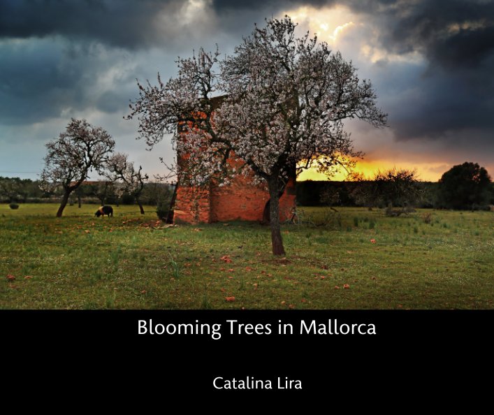 Visualizza Blooming Trees in Mallorca, Spain di Catalina Lira