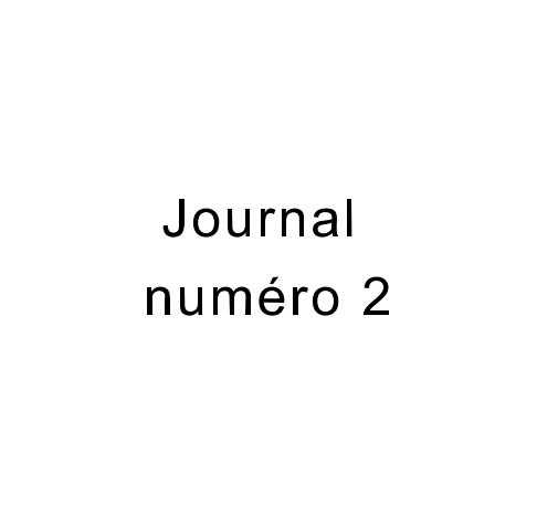 View Journal numéro 2 by Stéphane Ouazan