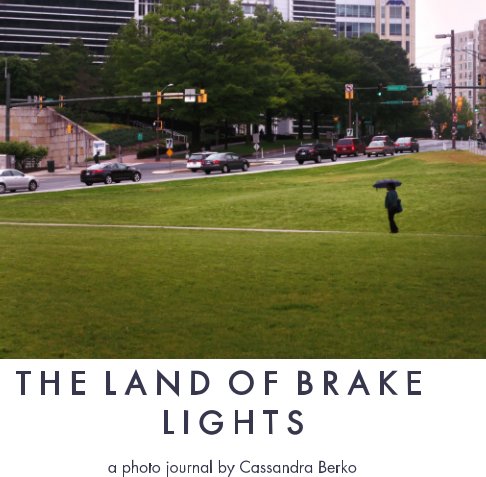 View The Land of Brake Lights by Cassandra Berko
