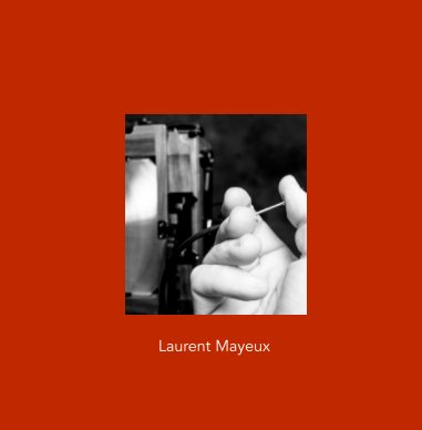 Portfolio de Laurent Mayeux book cover