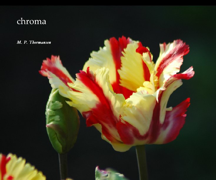 View chroma by M. P. Thermansen
