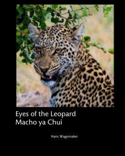 Eyes of the Leopard book cover