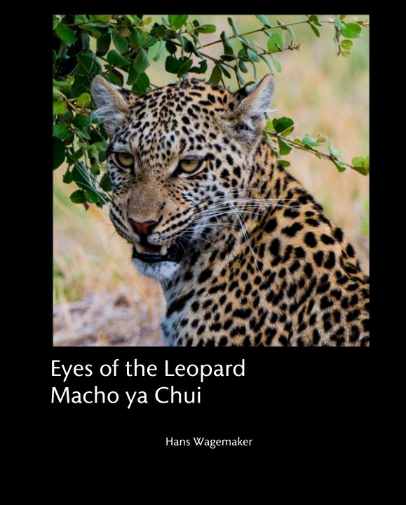 View Eyes of the Leopard by Hans Wagemaker