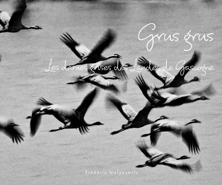 Ver Grus grus Les dames grises des Landes de Gascogne por Frédéric Walgenwitz