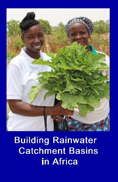 Ver Building Rainwater Catchment Basins in Africa por iluvafrica