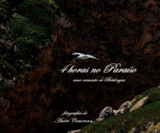 4 Horas no Paraíso book cover