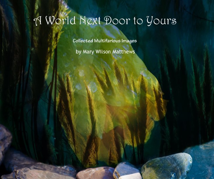 View A World Next Door to Yours by Mary Wilson Matthews
