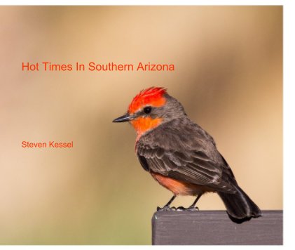 Hot Times In Southern Arizona book cover