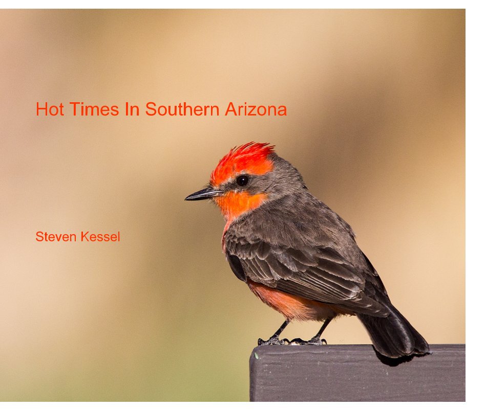 View Hot Times In Southern Arizona by Steven Kessel