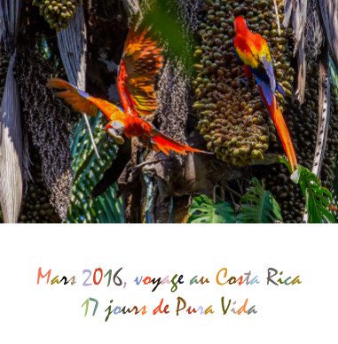 Mars 2016, voyage au Costa Rica book cover